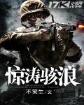 惊涛骇浪小说全文免费阅读