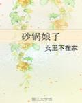 砂锅娘子TXT网盘