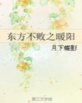 东方不败之暖阳讲的什么