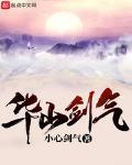 华山剑气合一