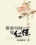 带着空间穿红楼 七千里免费阅读