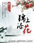 锦上添花的拼音