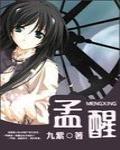 孟醒石