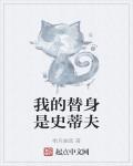 我的替身是史蒂夫免费阅读