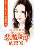 恶魔哥哥的禁宠 阳光融雪