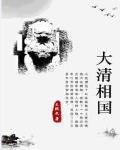大清相国