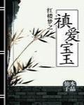 红楼梦之禛爱宝王