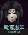 暗夜君王小说