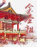 金圣祖类似小说有哪些