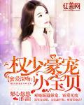 权少豪宠小宝贝免费阅读小说