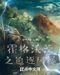 霍格沃茨之追逐风暴枫木小说网
