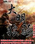大明狼骑视频