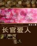 长官爱人罗霸道总裁小说