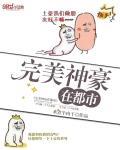 完美神豪在都市小说