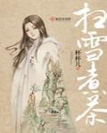 扫雪煮茶的小说