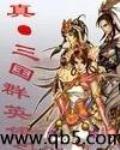三国群英传7