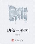 功盖三分国是什么意思
