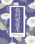 我的安徒生全文免费阅读