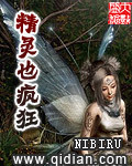 精灵也疯狂小说