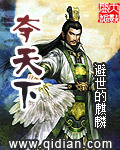 夺天下小说