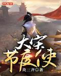 大宋节度使小说