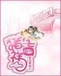 猪吉祥图案图片大全