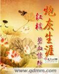 红楼炮灰生涯贾瑜
