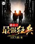 都市之最强狂兵陈
