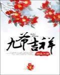 九爷吉祥这个福晋有点虎免费阅读