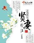 贤妻扶我凌云志