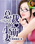 总裁的小萌妻明珠琳琅完整