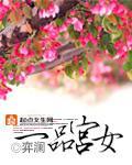 一品宫女小说TXT下载完本