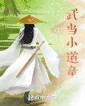 武当小道童清风