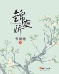 锦庭娇讲的什么