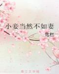 小妾当然不如妻小说涉黄吗