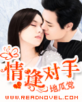 情逢对手 第30章