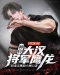 大汉将军小说