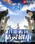 我能看到精灵剧本百度云