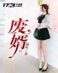 废婿小说