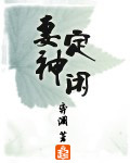 妻定神闲 百度云