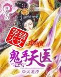 鬼手天医火龙汐