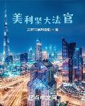 美国法官视频