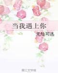 当我遇上你无处可逃小说
