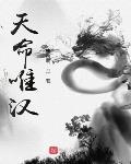 天命唯汉小说免费阅读全文