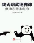 我大明武德充沛但选择文化取胜