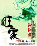 旺家乐防盗门