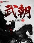 武朝迷案原版