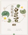 弄死那朵白莲花笔趣阁
