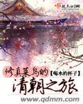 修真菜鸟在都市