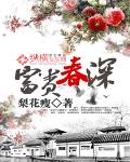 富贵春深讲的什么